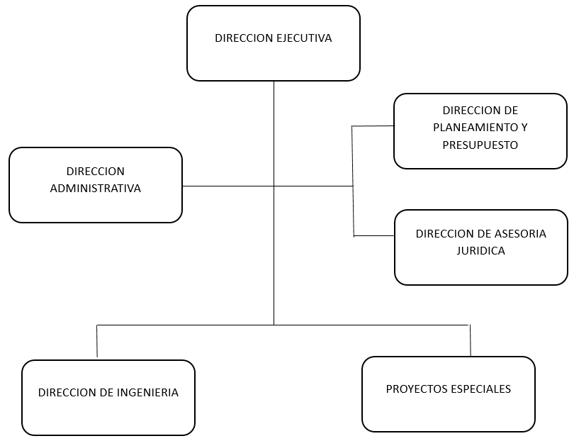 organigrama